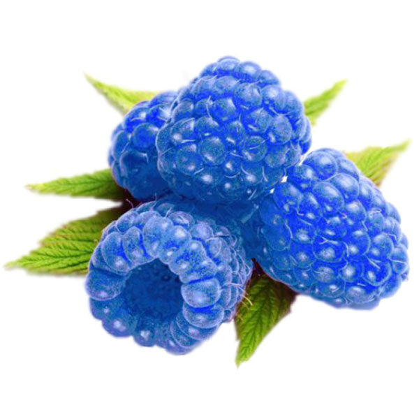 Lip Balm - Blue Raspberry