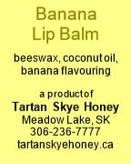 Lip Balm - Banana